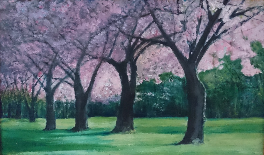 Barb Ranshaw